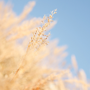 兽兽资源aⅤ电影
